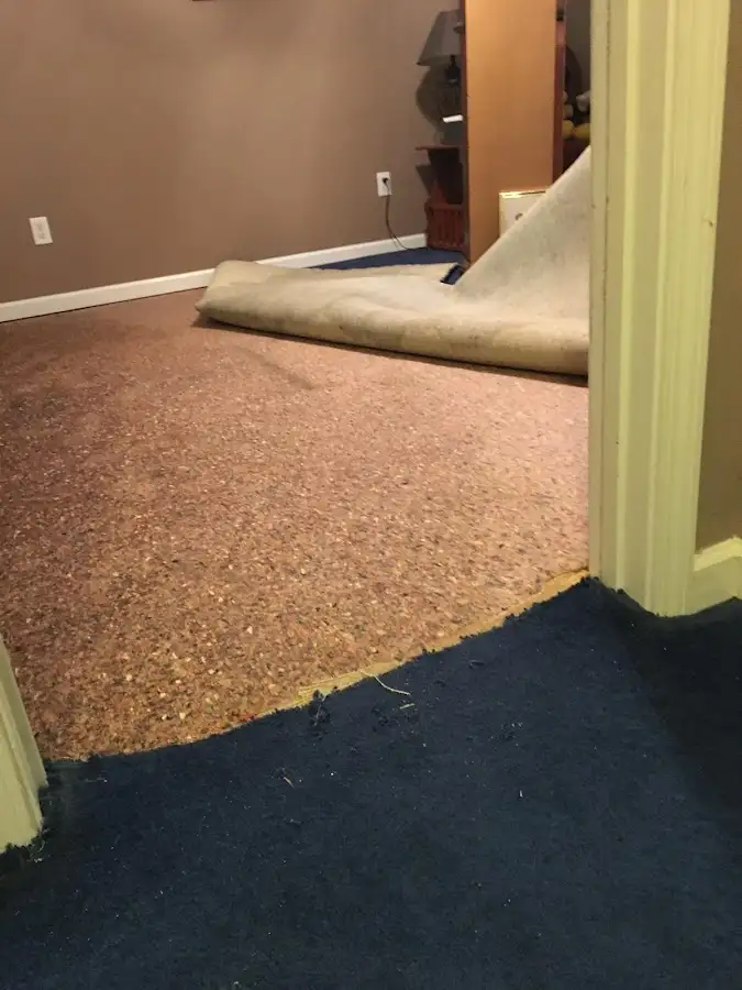 Carpet pad removal revealing water damage during Water Mitigation Services in Fort Belvoir