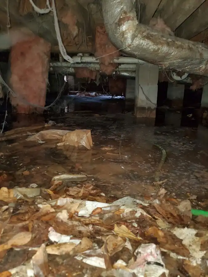 Crawl space flood assessment for Leak Detection & Repair in Fort Belvoir