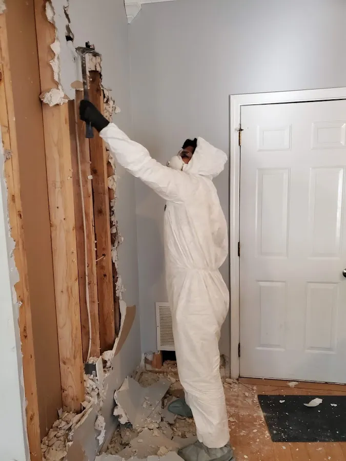 Water Damage Assessment in Fort Belvoir, VA